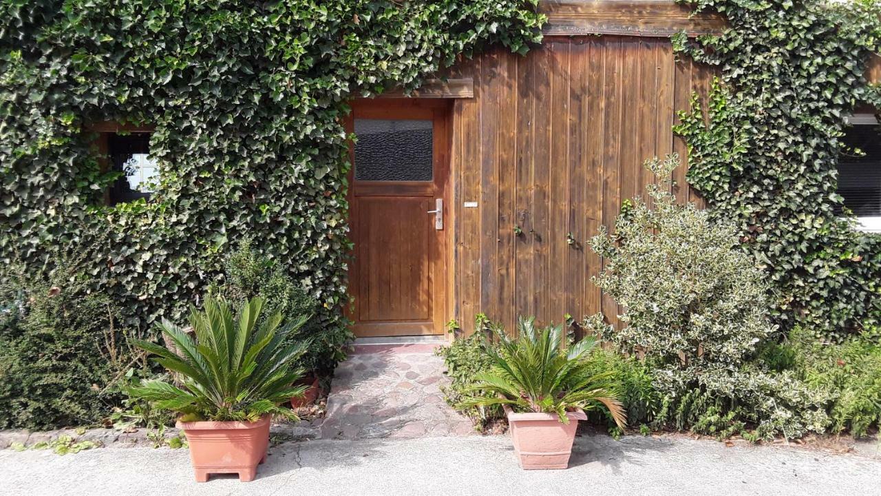 Gaestezimmer Sommer Locktow Exterior photo