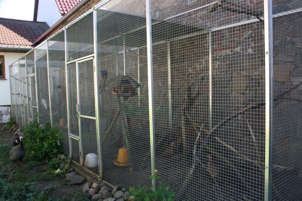 Gaestezimmer Sommer Locktow Exterior photo